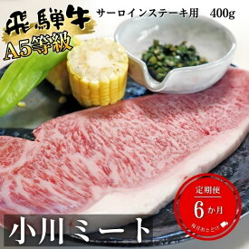 【ふるさと納税】【6ヶ月定期便】A5等級飛騨牛サーロインステーキ用400g