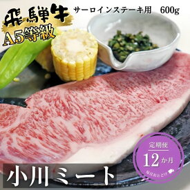 【ふるさと納税】【12ヶ月定期便】A5等級飛騨牛サーロインステーキ用600g