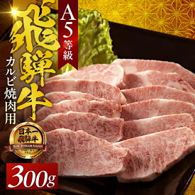 【ふるさと納税】 A5飛騨牛カルビ焼肉用 300g（2人前） 霜降り BBQ バーベキュー 飛騨牛 牛肉 肉 黒毛和牛 希少部位 国産 厳選 ブランド牛 お取り寄せ 高級 岐阜県 大垣市