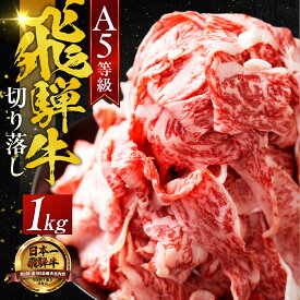 【ふるさと納税】＼高評価★4.8／最高級 A5 飛騨牛 切り落とし 1kg (500g×2) 牛肉 選べる 訳あり 不揃い 家庭用 小分け すき焼き 牛丼 おすすめ 黒毛和牛 人気 岐阜県 大垣市　ランキング 切落し 牛肉 肉