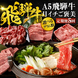【ふるさと納税】 ＼高評価★4.88／A5飛騨牛 定期便 5回 ちょこちょこお届け（焼肉・すき焼き など）5カ月☆ 飛騨牛 牛肉 肉 お肉 ランキング 黒毛和牛 希少部位 国産 厳選 ブランド牛 人気 60000円 高級 岐阜県 大垣市