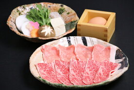 【ふるさと納税】 肉匠一鉄 飛騨牛＆美濃ヘルシーポーク すき焼きランチコース お一人様 お食事券【予約制】 岐阜県 大垣市