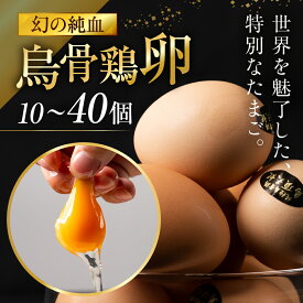 【ふるさと納税】 ＼最高級たまご／烏骨鶏 卵 緩衝性に優れているモールドパック入 選べる 10個 20個 30個 40個 セット 定期便 3回 6回 12回 烏骨鶏 鳥骨鶏 たまご 玉子 高級 高級食材 最高級 プレゼント ギフト お土産 贈答 12000円 1万2千円 烏骨鶏本舗 岐阜県 大垣市