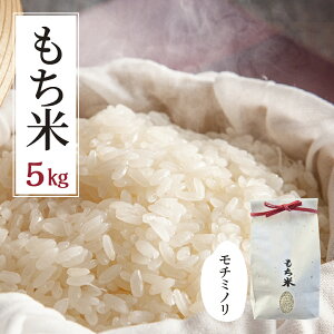 yӂ邳Ɣ[Łzߘa7NxY `~m 5kg V   ݂  Ԕ  Y Yn _ƒ Y ``  ~ ~ ۑ h ЊQ  R G 啟