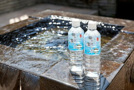 【ふるさと納税】 おいしい大垣の水（500ml × 24本） 自噴水を使った ミネラルウォーター 水の都 ペットボトル 水 岐阜県 大垣市