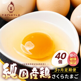 【ふるさと納税】【定期便3ヶ月】新鮮 特選 さくらたまご 40個 3ヶ月 パック数 回数 3回 新鮮な卵 (発送当日・または前日に採れた卵) 純国産鶏 里山 たまご タマゴ 卵 玉子 にわとり 鶏 保証付 安心 安全 対応 破損 割れ保障 30000円 3万円 松島飼料店 岐阜県 大垣市