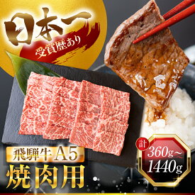 【ふるさと納税】最高ランクA5 飛騨牛 焼肉用 370～1480g 厳選部位 部位おまかせ モモ カタ バラ カルビ 肩肉 A5等級 A5ランク 赤身 霜降り 牛肉 和牛 国産 国産和牛 ブランド牛 高級 定期便 冷凍 プレゼント ギフト 焼肉 焼き肉 15000円 1万5千円 中部ミート 岐阜県 大垣市