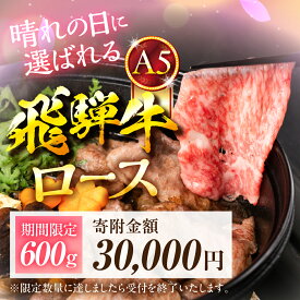 【ふるさと納税】【晴れの日用・数量限定】飛騨牛 A5等級 すき焼き用 ロース肉 600g（300g×2）≪選べる≫ 定期便 リブロース A5 A5ランク 牛肉 黒毛和牛 和牛 国産 国産和牛 厳選 高級 高級肉 冷凍 お祝い 記念日 赤身 ランキング 20000円 2万円 中部ミート 岐阜県 大垣市