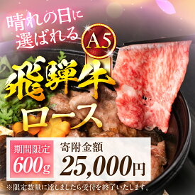【ふるさと納税】【最短翌日発送！数量限定！】飛騨牛 A5等級 すき焼き用 ロース肉 300g 600g 1200g 300g ×2 ×4 ≪選べる≫ すき焼き 定期便 ロース A5 A5ランク 牛肉 黒毛和牛 和牛 国産 厳選 高級 冷凍 お祝い 記念日 ランキング 中部ミート 岐阜県 大垣市
