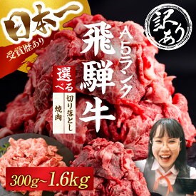 【ふるさと納税】≪選べる 訳あり≫ 飛騨牛 A5 切り落とし 焼肉 300g ～ 1.6kg 選べる 定期便 牛肉 肉 飛騨牛 A5 A5ランク A5等級 部位おまかせ 厳選部位 おまかせ お任せ 切り落とし 焼肉 焼き肉 BBQ 冷凍 美味しい おいしい 最高級 10000円 1万円 中部ミート 岐阜県 大垣市