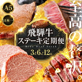【ふるさと納税】＼至高の贅沢／ 飛騨牛A5ステーキ定期便 選べる回数 定期便 3回 6回 12回 3ヶ月 6ヶ月 12ヶ月 飛騨牛 牛肉 希少部位 国産 厳選 黒毛和牛 サーロイン ヒレ フィレ ヘレ シャトーブリアン ステーキ A5ランク A5等級 120000円 12万円 中部ミート 岐阜県 大垣市