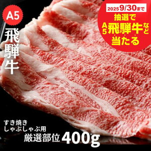 yӂ邳Ɣ[Łzy930YˋIœz A5ˋ Ă / Ԃ I400g ˋ   јa 󏭕 Y I uh   򕌌 _s
