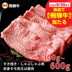 yӂ邳Ɣ[Łzy930YˋIœz A5 ˋ Ă / Ԃ Ԑg /  300g`600g Hה Ԑg ~ ˋ   јa 󏭕 Y I u
