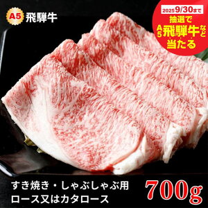 yӂ邳Ɣ[Łzy930YˋIœz A5 ˋ Ă / Ԃ [X / J^[X 700g ˋ ~ lC    LO јa Y I uh