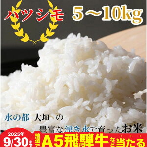 yӂ邳Ɣ[Łzy930YˋIœzys\zߘa7NxY  ncV 5kg / 10kg /  3 IׂTCY `̓s_̖LxȗNň ` V 