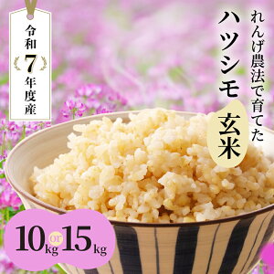 yӂ邳Ɣ[Łz ߘa7NY V [ Iׂ 10`15kg  Pꌴ  ncV 򕌔Žւ 񂰈炿̃ncV  V ͂    单 򕌌 _s