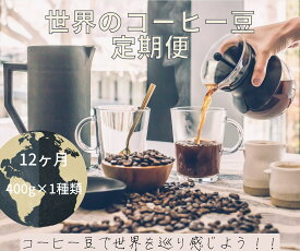 【ふるさと納税】【コーヒー豆定期便12か月】『焙煎幸房“そら”』世界を旅するコーヒー 酸味は苦手、浅煎り抜き 400g×1種類