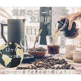 【ふるさと納税】【コーヒー豆定期便12か月】『焙煎幸房“そら”』世界を旅するコーヒー 酸味は苦手、浅煎り抜き 200g×1種類