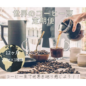 【ふるさと納税】【コーヒー豆定期便12か月】『焙煎幸房“そら”』世界を旅するコーヒー 浅煎り〜深煎りおまかせ 200g×1種類