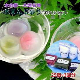 【ふるさと納税】 水まんじゅう 作成セット こしあん使用 饅頭 あんこ 餡子 和菓子 松下製餡所 〔805-005〕 岐阜県 大垣市