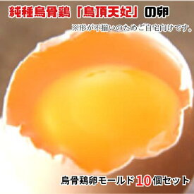 【ふるさと納税】烏骨鶏卵　緩衝性に優れているモールドパック入10個セット