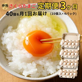 【ふるさと納税】特選　さくらたまご【定期便　3カ月】☆40個（10個入×4パック）を月1回お届け☆☆　新鮮な卵をお届けします