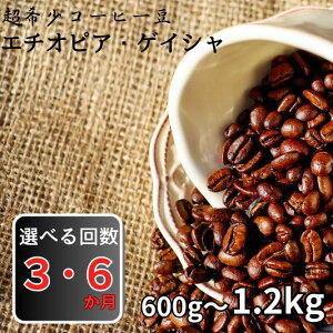 yӂ邳Ɣ[Łzy930YˋIœz yցzqIׂr3 6 G`IsA QCV 󏭎R[q[   QVrbW _ `J i` 200g 600g 1200g 1.2