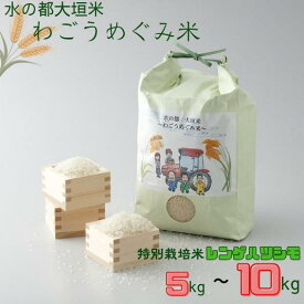 【ふるさと納税】令和7年産 新米 ≪選べる≫ 5～10kg 水の都 大垣米 わごうめぐみ米【特別栽培米レンゲハツシモ】ごはん 白米 精米 人気 美味しい 初霜 コシヒカリ の先輩 東の ササニシキ 西の ハツシモ はつしも 産直 15000円 1万5千円 農事組合法人わごう 岐阜県 大垣市