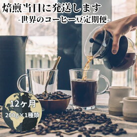 【ふるさと納税】【コーヒー豆定期便12か月】『焙煎幸房“そら”』世界を旅するコーヒー 苦いのは苦手、深煎り抜き 200g×1種類