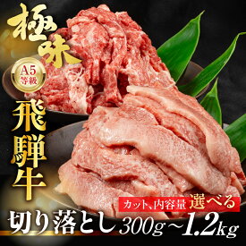 【ふるさと納税】飛騨牛 A5等級 切り落とし 小間切れ こまぎれ 300g 500g 900g カルビ 切り落とし 400g 800g 1.2kg 選べる| 訳あり 簡易包装 小間切れ 切落し A5ランク A5 5等級 肉 黒毛和牛 ブランド牛 冷凍 人気 国産 お取り寄せ 冷凍 飛騨高山 ながせ食品 FH001MP