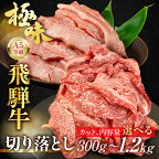 飛騨牛 A5等級 切り落とし 小間切れ A5ランク A5 5等級 肉 黒毛和牛 ブランド牛 300g 飛騨高山 ながせ食品 TR3187
