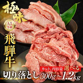 【ふるさと納税】飛騨牛 A5等級 切り落とし 小間切れ こまぎれ 300g 500g 900g カルビ 切り落とし 400g 800g 1.2kg 選べる| 訳あり 簡易包装 小間切れ 切落し A5 5等級 肉 黒毛和牛 ブランド牛 冷凍 人気 国産 お取り寄せ 冷凍 飛騨高山 ながせ食品 【90周年】FH001MP