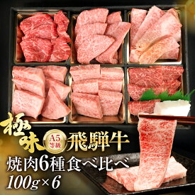 【ふるさと納税】飛騨牛 焼肉 6種食べ比べセット 600g(100g×6）| 焼肉 小分け 希少部位 5等級 高評価 焼き肉 牛肉 個包装 焼肉セット おすすめ 冷凍牛肉 キャンプ アウトドア ブランド牛肉 切り落し 高評価 黒毛和牛 肉 お肉 FH017VP