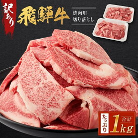 【ふるさと納税】＼注文数急上昇／ 飛騨牛 焼肉用 切り落とし 1kg 訳あり 不揃い 牛肉 肉 お肉 にく 焼肉 焼き肉 やきにく 切り落し 人気 おすすめ 小分け 個包装 パック BBQ バーベキュー 飛騨高山 岐阜 ギフト 冷凍 ふるさと 肉の匠家 BV027VP