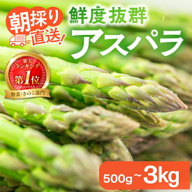 【ふるさと納税】先行予約【令和9年産 2027年発送受付スタート】手間をかけ大切に育てたアスパラ！ひだっこアスパラ 500g～3kg | アスパラ アスパラガス 飛騨産 野菜 春 夏野菜 産地直送 新鮮 食品 おいしい 人気 飛騨高山 高山市 ひだっこの里 CM001MP