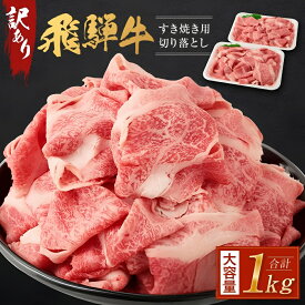 【ふるさと納税】訳あり 飛騨牛すき焼き用切り落とし（不揃い・大容量）1kg | 通常配送・定期便が選べる 切り落とし 小分け 鍋 正月 肉の匠家 BV026VP | 飛騨牛　肉 お肉 にく 食品 人気 おすすめ 送料無料 ギフト