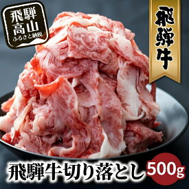 【ふるさと納税】飛騨牛 訳あり 切り落とし500g 牛肉 飛騨牛 切り落とし 肉 国産牛 わけあり 訳あり ワケアリ 小間切れ 薄切り [LR011] 10000円 1万円 丸明