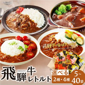 【ふるさと納税】訳あり 飛騨牛レトルト 2種 4種 選べる 5～40袋| 常温配送 飛騨牛 肉 牛 カレー ビーフカレー トマトカレー ビーフシチュー デミハヤシ 簡易包装 レトルトカレー レトルトごはん レトルト食品 レトルト常温 人気 ランキング 便利 ふるさと清見21 DC002VP
