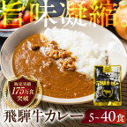 飛騨牛カレー (12袋) | 訳あり 飛騨牛 肉 牛 カレー ビーフカレー 簡易包装 レトルトカレー 人気 おすすめ おいしい 便利 飛騨高山 ふるさと清見 TR3296