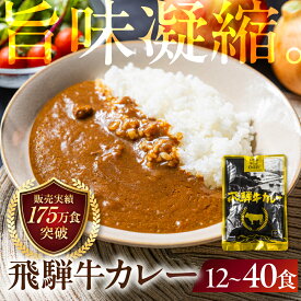 【ふるさと納税】【★高評価4.65】訳あり わけあり 簡易包装 飛騨牛カレー 12袋/25袋/40袋(1.9kg〜6.4kg) レトルトカレー ビーフカレー 牛肉 肉 惣菜 おかず 常温保存 備蓄 非常食 ご当地 カレールー 人気 時短 即席 10000円 20000円 30000円 DC006VP