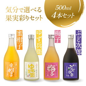 【ふるさと納税】気分で選べる果実のごほうび　4種のフルーツリキュールセット | リキュール 果実酒 柑橘 みかん 梅 柚子 ぶどう 日本酒 酒 飛騨高山 有限会社舩坂酒造店 FB065