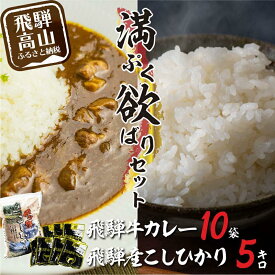 【ふるさと納税】飛騨牛カレー（160g×10袋）と飛騨産こしひかり5kg 満腹欲ばりセット | 飛騨牛 カレー レトルト 加工食品 白米 米 飛騨こしひかり セット 欲張り おすすめ 飛騨高山 ふるさと清見 TR3988