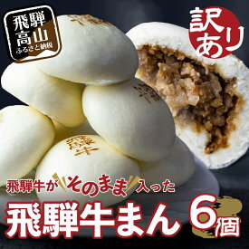 【ふるさと納税】訳あり 飛騨牛まん 6個セット | 中華まん にくまん 牛まん 飛騨牛 簡易包装 惣菜 飛騨高山 間食 おやつ 清水弥生堂 TR4154