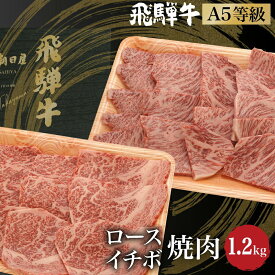 【ふるさと納税】飛騨牛 ロース イチボ 焼肉 1.2kg（600g×2） A5等級 希少部位 ブランド牛 和牛 霜降り 朝日屋 TR4221