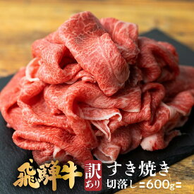 【ふるさと納税】訳あり 肉 飛騨牛 すき焼き 切り落とし 600g | 牛肉 お肉 不揃い 和牛 国産 冷凍 煮物 すき焼 すきやき 切落とし 切り落し 切りおとし 切落し 岐阜 高山 お取り寄せ グルメ 人気 おすすめ ブランド 赤身 TR4393