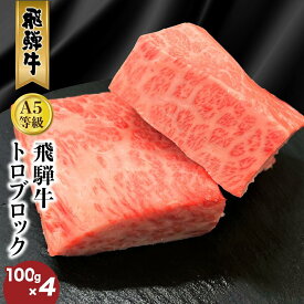 【ふるさと納税】飛騨牛 トロ ブロック 400g （約100g×4） 炙り握り寿司 用 肉 ひだ牛 ブランド牛 黒毛和牛 霜降り 冷凍 飛騨高山 ながせ食品 TR4473