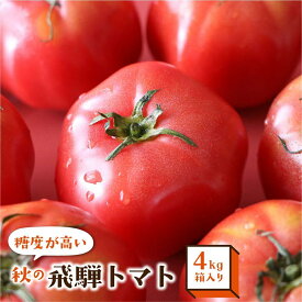 【ふるさと納税】秋の濃い味 飛騨トマト 4kg 大玉 トマト とまと 秋 野菜 期間限定 産地直送 野菜 飛騨高山 宿儺さま TR4286