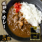 訳あり 飛騨牛 カレー 5袋 ビーフカレー レトルト 簡易包装 常温 保存 わけあり 人気 おすすめ 牛肉 肉 お肉 ブランド 美味しい 温めるだけ 5000円 発送月が選べる TR3295