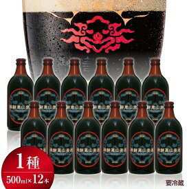 【ふるさと納税】飛騨高山麦酒 カルミナ 12本セット 500ml×12本 地ビール ビール 麦酒 クラフトビール 飛騨高山 瓶ビール ビンビール TR3384