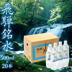 【ふるさと納税】飛騨の水 飛騨銘水500ml×20本（1ケース） 飲料水 お水 軟水 湧き水 国産 ミネラルウォーター 自然の恵み 天然水 500ml 水 ペットボトル 三川屋 TR4557